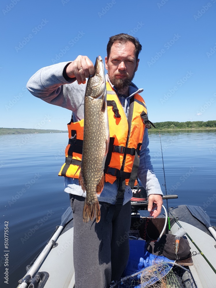a man holds a pike caught in his hands. catching predatory fish on spinning a man holds a pike caught in his hands. catching predatory fish on spinning