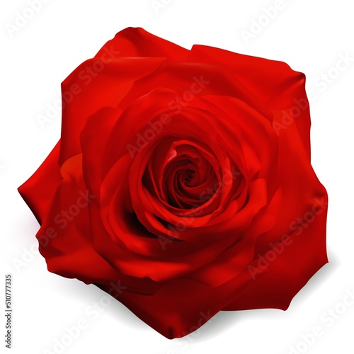 Realistic vector rose on white background. 3d bud of a yellow rose. 