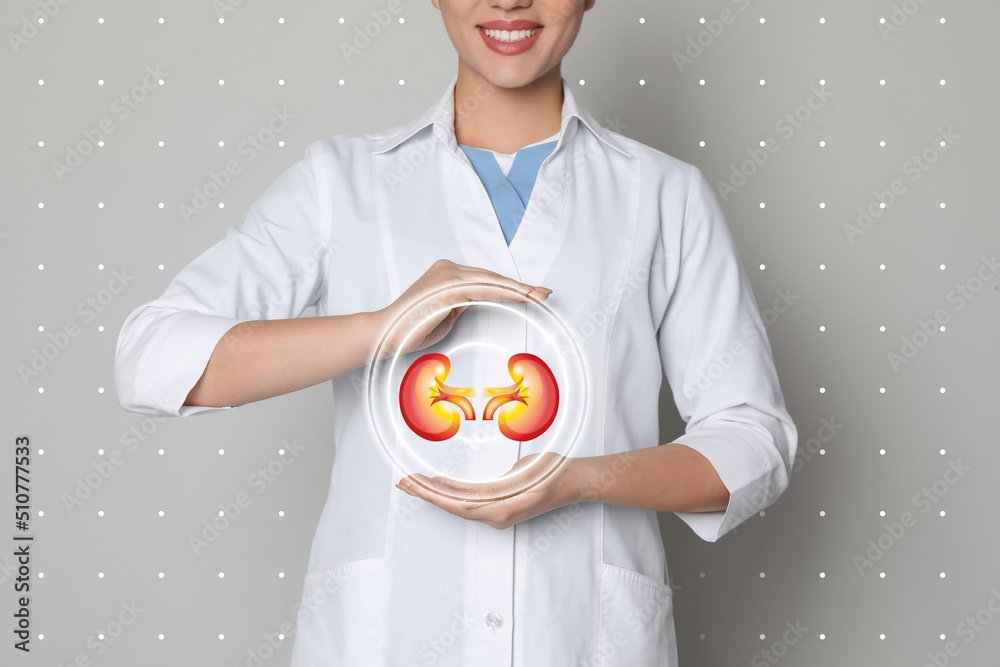 Closeup view of doctor and illustration of kidneys on light grey background