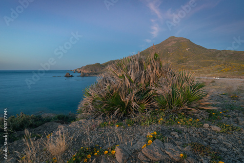 Rocky beach on the Mediterranean at sunrise with foreground vegetation