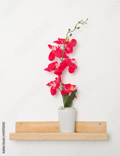 red orchid on white background