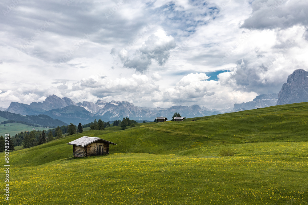 landscape in the mountains