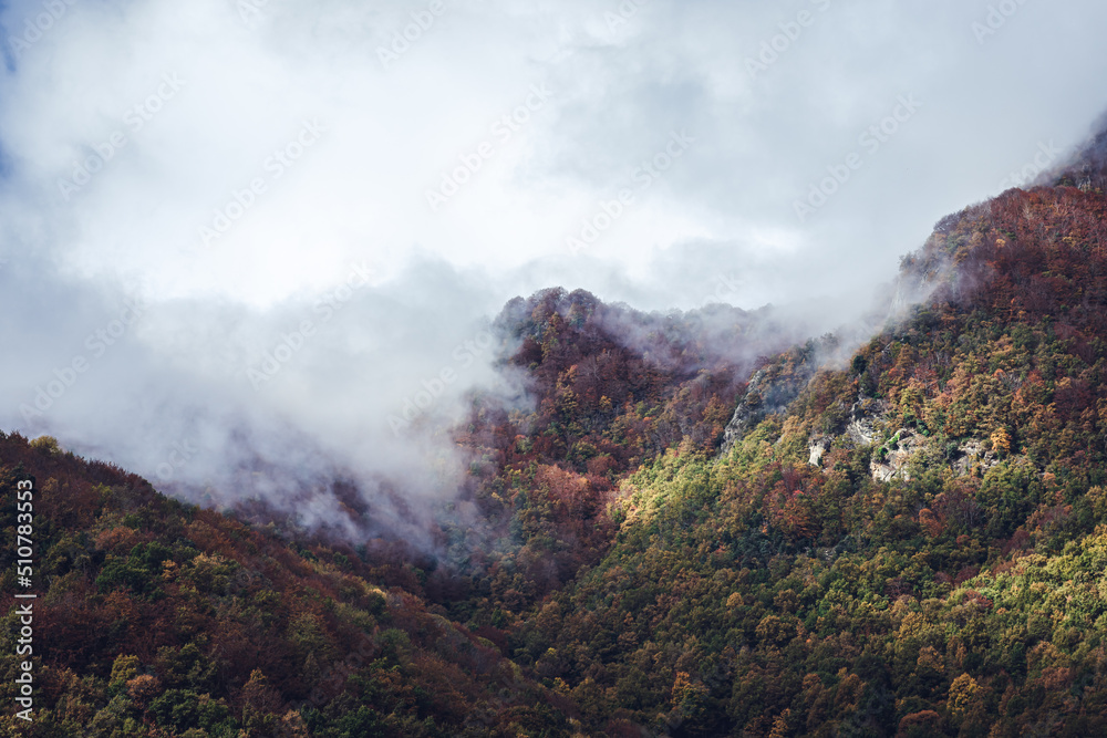 Fog in the mountains Fog in the mountains