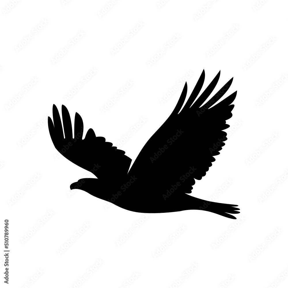 eagle with wings eagle with wings