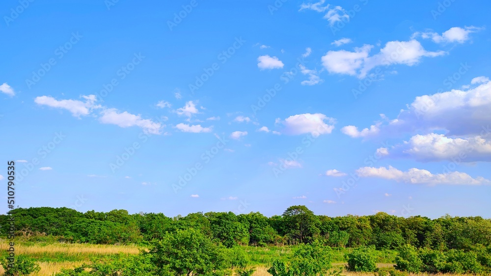 Fototapeta premium Countryside nature and beautiful blue sky