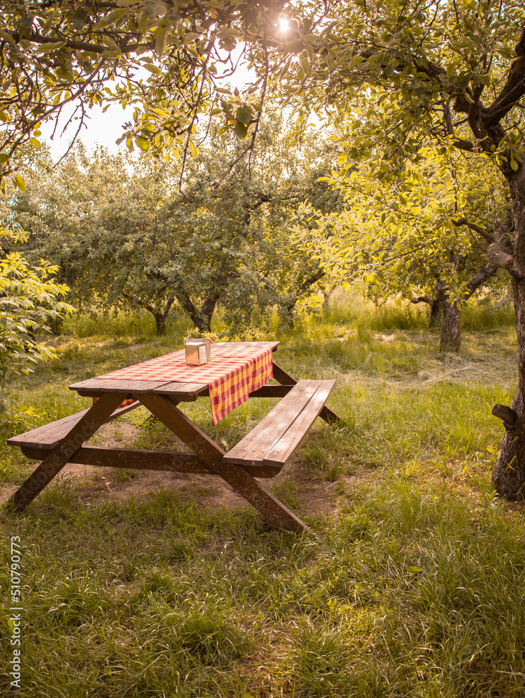 Summer picnic table and bench in garden. Park zone. Outdoor brunch ...
