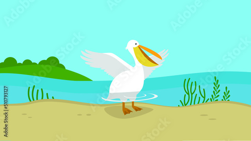 Pelican sits in the water on the shore of the lake