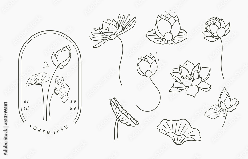 Fototapeta Black lotus flower outline Vector illustration for icon,sticker,printable and tattoo ...
