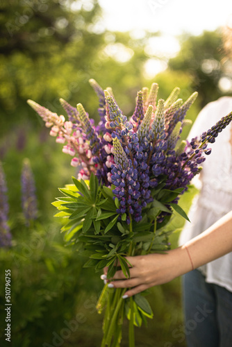 Girl with a bouquet of lupines in her hands. Girl with wild flowers. A walk in the field. Inspired girl holding wildflowers in her hands.