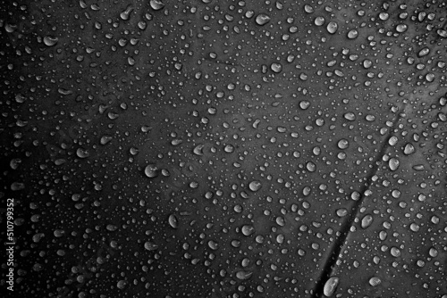 Water drops on the fabric photo