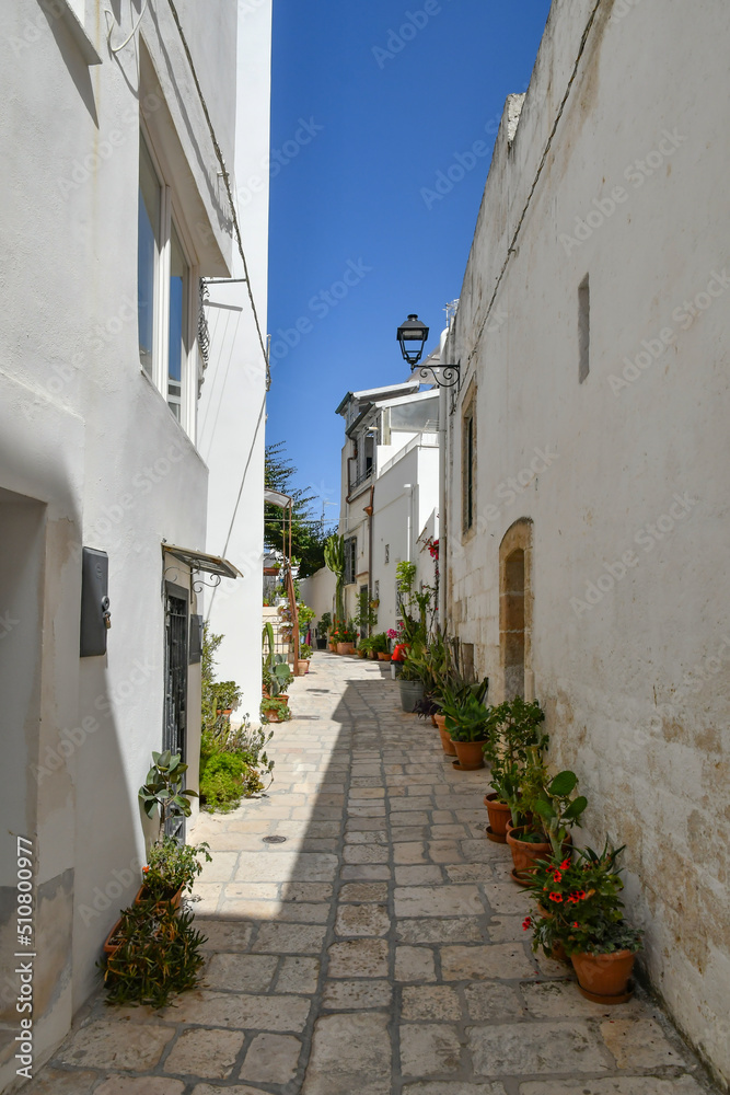 A small street between the old houses of Polignano a Mare. medieval town in the Puglia region in Italy.