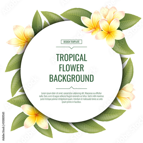 Round background with plumeria flowers. Tropical frangipani plant. Banner, poster, flyer, postcard. Summer illustration.