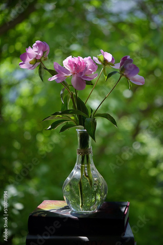 Pink Peony Flowers Bouquet In Vase at Window photo