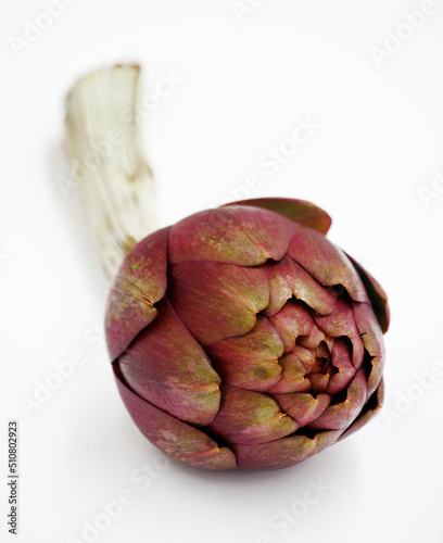 Red artichoke isolated on white background.