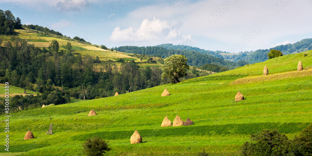 rural landscape in mountains. haystacks on the hill near the forest. sunny weather with clouds on the sky. rustic carpathian scenery in summer