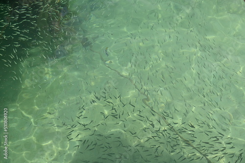 The Manukan, Mamutik and Sapi Islands of Kota Kinabalu, Sabah Malaysia photo