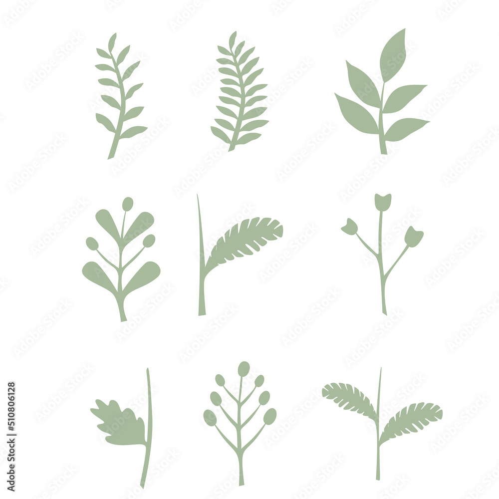 Leaves vector set isolated from the background Leaves different shapes in modern flat style