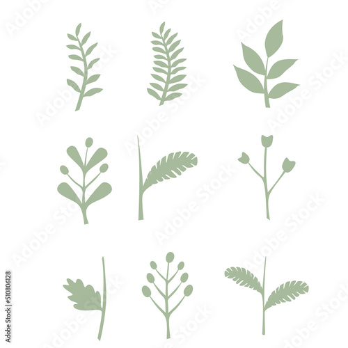 Leaves vector set isolated from the background Leaves different shapes in modern flat style