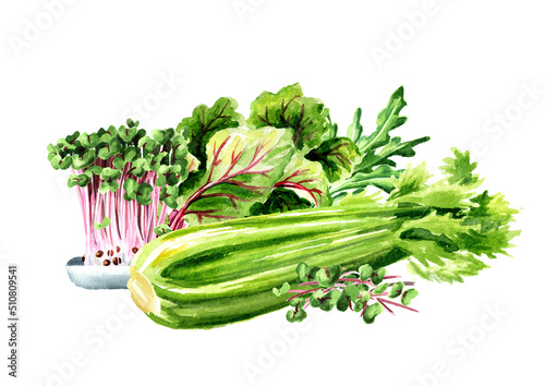 Fresh greenery. Hand drawn watercolor illustration  isolated on white background