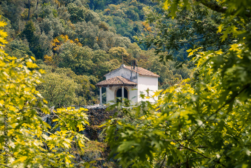house in the woods - Lousã © Marco