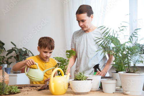  spend free time do favourite hobby. life concept. floriculture. hobby leisure activity concept. Mom and kid boy plant transplants of house flowers at home