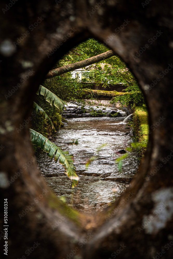 Obraz premium Terra Nostra - Framed River - Azores Termas Furnas