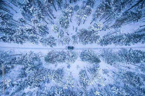 winter forest background with a car © Kirsten Solgård