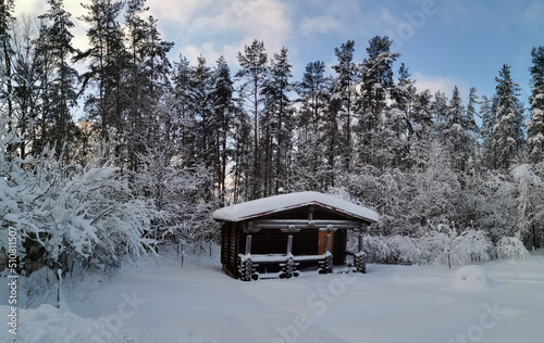 A dark one-story wooden house - a round log bathhouse in the snow among snow-covered trees on a cold clear day.