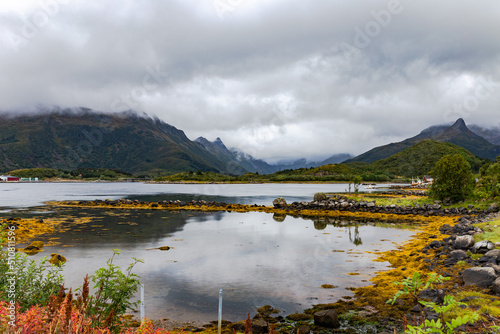 Colorful Lofoten Landscape with Reflections