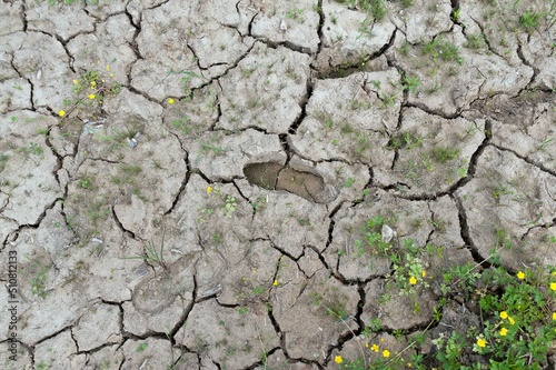 Shoe marks on cracked dried mud