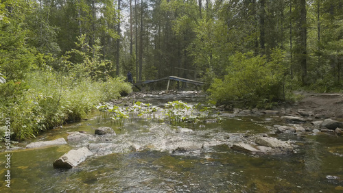 Landscape with forest and a river in front. Beautiful scenery. River in the forest photo