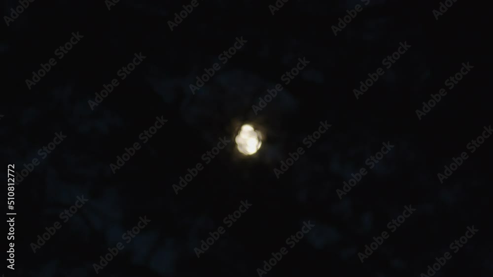 Focus rack of bright moon shining through tree branches at night - moon slowly coming into focus Focus rack of bright moon shining through tree branches at night - moon slowly coming into focus