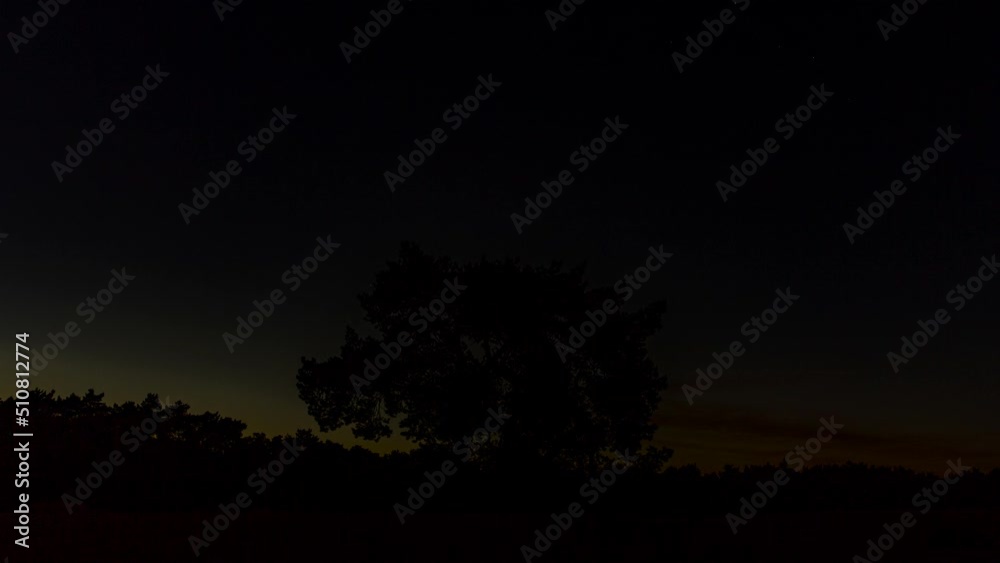Time lapse of tree in sand dunes at night with the sun slowly rising and clouds passing in the sky - slow zoom in Time lapse of tree in sand dunes at night with the sun slowly rising and clouds passing in the sky - slow zoom in