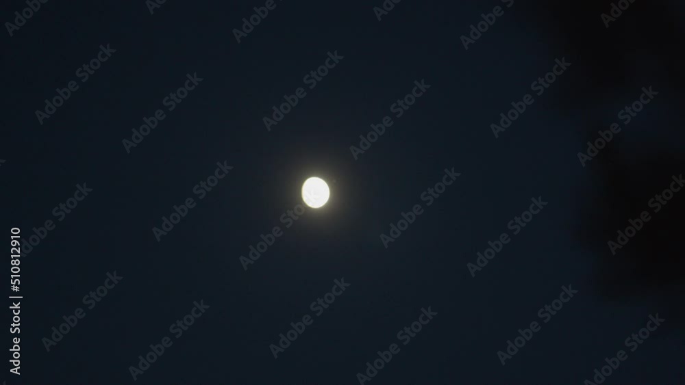 Dolly from needles on tree branch to bright moon at night Dolly from needles on tree branch to bright moon at night