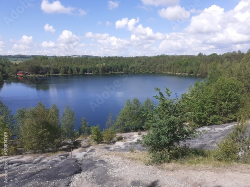 lake and forest