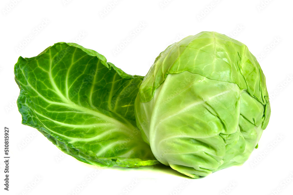 cabbage isolated on white background. spring vegetable cabbage isolated on white background. spring vegetable