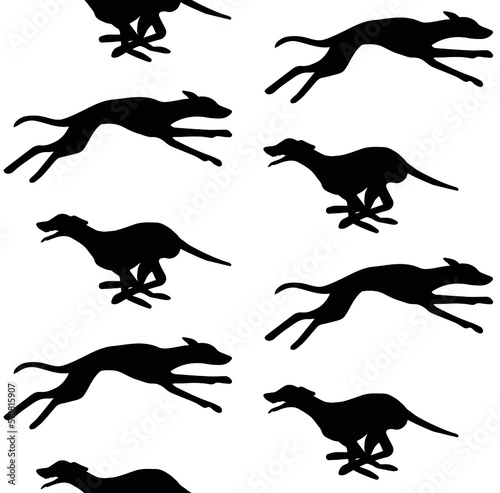 Fotografie Vector seamless pattern of hand drawn running whippet dog silhouette isolated on