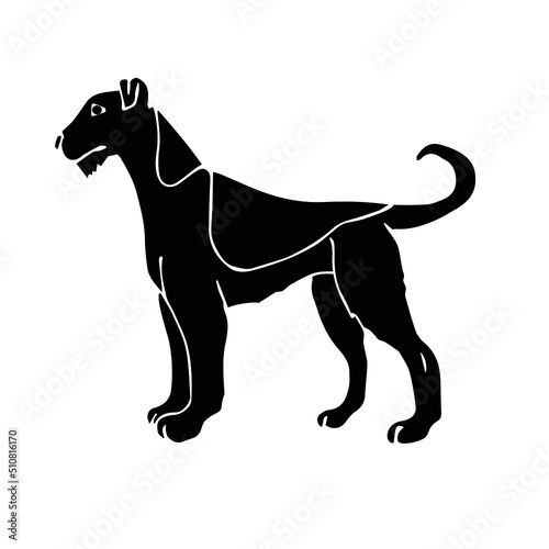 Vector hand drawn doodle sketch black welsh terrier dog isolated on white background