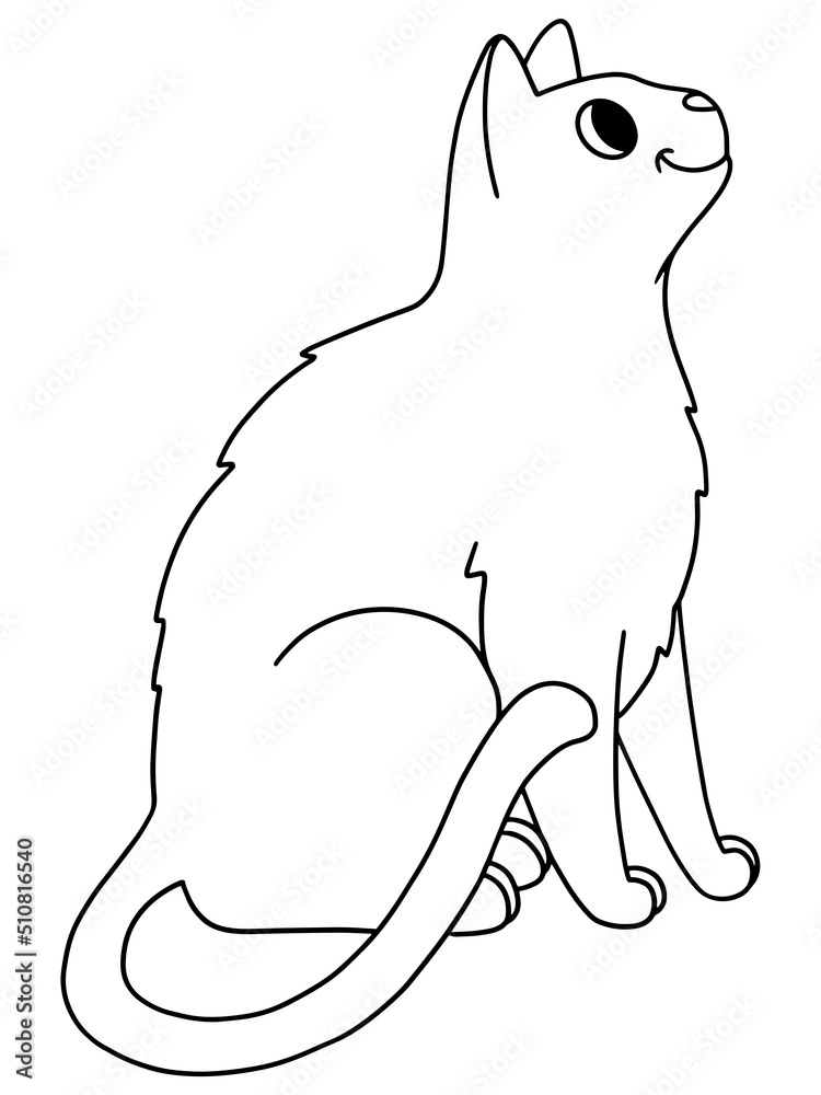 Obraz premium Pet cat, sits and looks up. Raster, children coloring book.