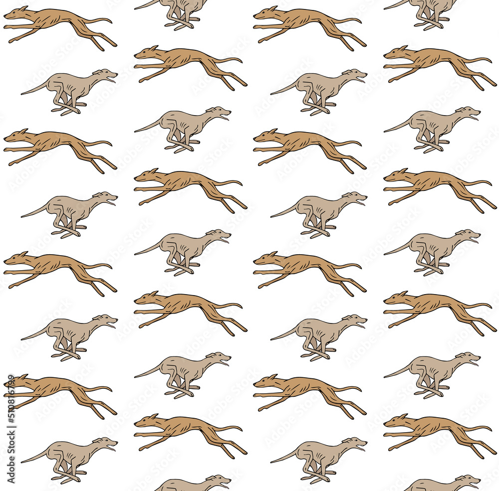 Obraz premium Vector seamless pattern of different hand drawn sketch doodle running whippet dog isolated on white background