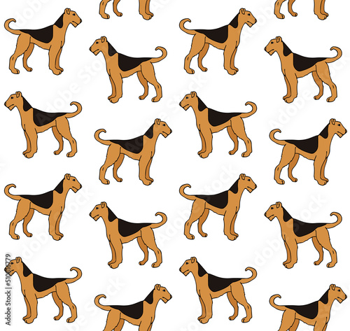 Vector seamless pattern of hand drawn doodle sketch colored welsh terrier dog isolated on white background