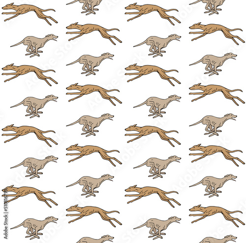 Fototapeta Naklejka Na Ścianę i Meble -  Vector seamless pattern of different hand drawn sketch doodle running whippet dog isolated on white background