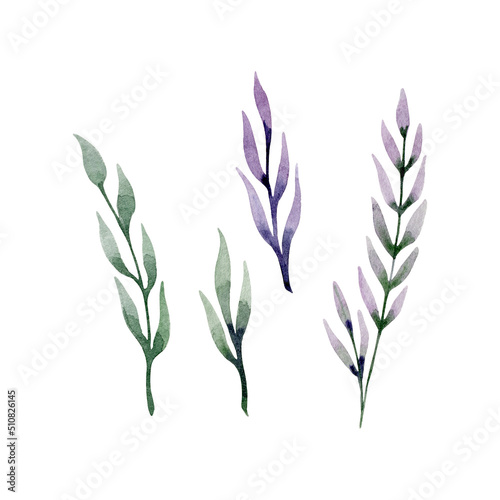 Set of hand drawn watercolor green and lilac leaves  branches  plants. Watercolor illustration isolated on white background.