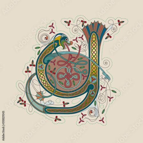 Illuminated, Medieval Initial Letter Y combining animal body parts from a Dog and a Fish, tendrils and endless Celtic knot ornaments
