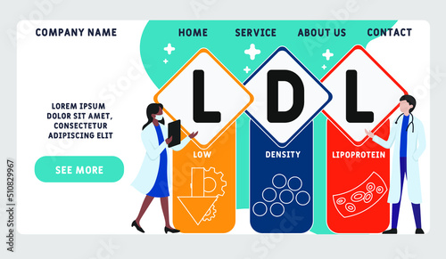 LDL Low-Density Lipoprotein acronym. business concept background. vector illustration concept with keywords and icons. lettering illustration with icons for web banner, flyer, landing pag