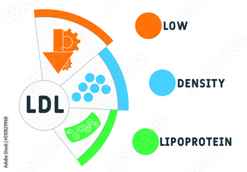 LDL Low-Density Lipoprotein acronym. business concept background. vector illustration concept with keywords and icons. lettering illustration with icons for web banner, flyer, landing pag