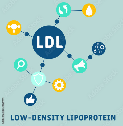 LDL Low-Density Lipoprotein acronym. business concept background. vector illustration concept with keywords and icons. lettering illustration with icons for web banner, flyer, landing pag