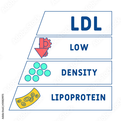 LDL Low-Density Lipoprotein acronym. business concept background. vector illustration concept with keywords and icons. lettering illustration with icons for web banner, flyer, landing pag