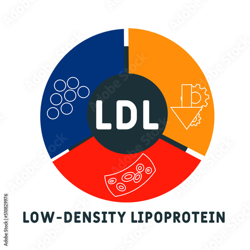 LDL Low-Density Lipoprotein acronym. business concept background. vector illustration concept with keywords and icons. lettering illustration with icons for web banner, flyer, landing pag