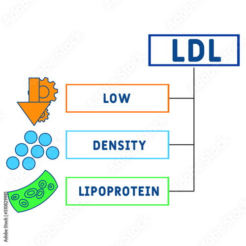 LDL Low-Density Lipoprotein acronym. business concept background. vector illustration concept with keywords and icons. lettering illustration with icons for web banner, flyer, landing pag